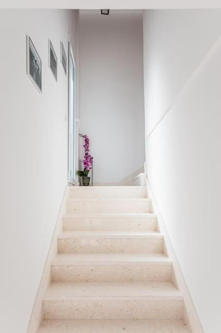 Holiday Home Marina-Renovated House In City Center ロゴズニッツァ エクステリア 写真